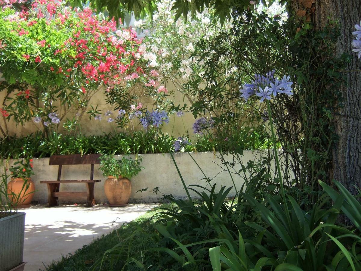 Au Vallon Rouge Saint-Paul-de-Vence Buitenkant foto